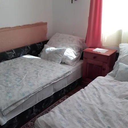 Dom wakacyjny Janos Nyaralo *