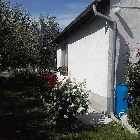 Dom wakacyjny Janos Nyaralo